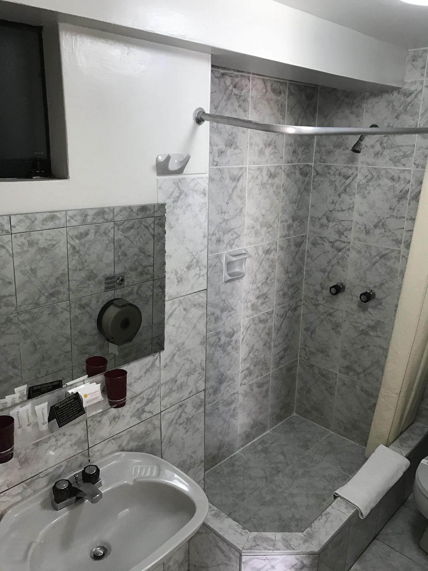 Hotel Embajadores 3*